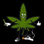 HerbHouse - @herbhousemakkum - Instagram