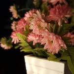 Herbhouse.kr - @herbhousekr - Instagram