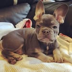 Herbert Nelson - @herbie_nelson_ - Instagram
