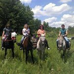 Shelly Herb Patton - @smohap - Instagram
