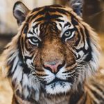 Herb Peterson - @herbthe_peterson - Instagram