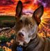 Herb Roberts - Facebook