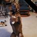 Herb Roberts - Facebook
