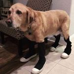 @herbswanson11 - Instagram