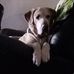 Herb Walters - Facebook
