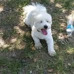 Herb Walters - @herb.walters.96 - Instagram