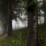 Herbert Abbott - @prajoguoyi - Instagram