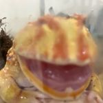 Herbert and albert - @herbert_and_albert - Instagram