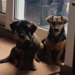 Josef Herbert Barth - @josefherbertbarth - Instagram