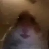 Herbert 😳😍😍 - @herbertmagbaum - TikTok