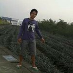 Herbert Bautista - @herbertbautista7399 - Instagram