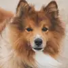 herbertbernard_1980 - @herbertbernard_1980 - TikTok