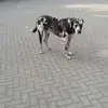 herbertbinder59 - @herbertbinder59 - TikTok