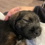 Herbert - @herbertbingham2022 - Instagram