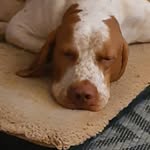 Herbert Blank - @hblank1703 - Instagram
