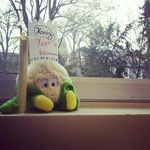 Herbert  Blumenkohl - @herbertblumenkohl - Instagram