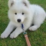 Herbert Bolton - @herbertbolton010 - Instagram
