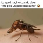 Brandon Herbert - Facebook