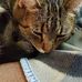 Herbert Brigham - Facebook