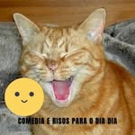 Herbert Campos - @comediaerisosparaodiadia - Instagram