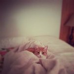 Herbert Cano - @herbert_cano - Instagram