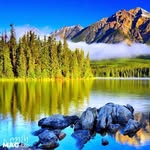 @herbert_cherry58 - Instagram