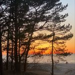 Dmitry Vasilyev - @herbert_colvinsh - Instagram
