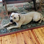 Jimmy M Conley - @johnherbertconley - Instagram