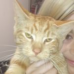archy.herbert.cook - @archy.herbert.cook - Instagram