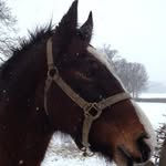 Kelly CrookswasHerbert - @crookswasherbert - Instagram