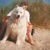 Herbert Dietze825 - @herbertdietze1 - TikTok