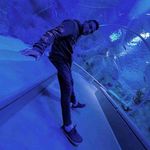 Herbert Donovan - @herbertdonovan70 - Instagram