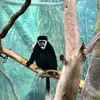 herbertescalade - @herbertescalade - TikTok