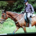 Herbert Engelhard - @herbertengelhard - Instagram