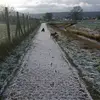Herbert Engelhardt - @herbertengelhardt - TikTok