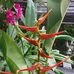 Herbert Epps - Facebook