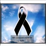 Herbert Farfan - @herbertfarfan - Instagram