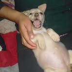 Herbert Farfan - Facebook