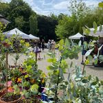 Herbert Park Farmers Market - @herbertparkfarmersmarket - Instagram