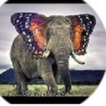 Herbert Fischer - @herbertfischer1436_ - Instagram