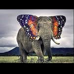 Herbert Fischer - @herbertfischer1436 - Instagram