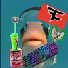 Herbert the fish - @fazeherbert69 - TikTok