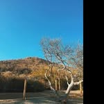 @herbertfosteret - Instagram