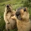 Herbert Franz 69 - @herbert.franz.69 - TikTok