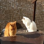 Geiger Herbert - @geiger.herbert.5 - Instagram