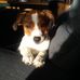 Herbie Gillespie - Facebook