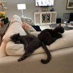 Glenn Herbert - @glenn.herbert.7737 - Instagram