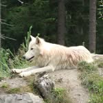 Herbert Goetzinger - @herbertgoetzinger - Instagram