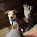 Herbert Gray - Facebook