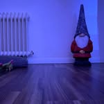 @grimmiger_herbert - Instagram